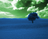 Blue Grass and Green Sky (clarinet, guitar, piano, bass, drums)