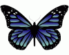 A Butterfly Fluttered By (solo piano)